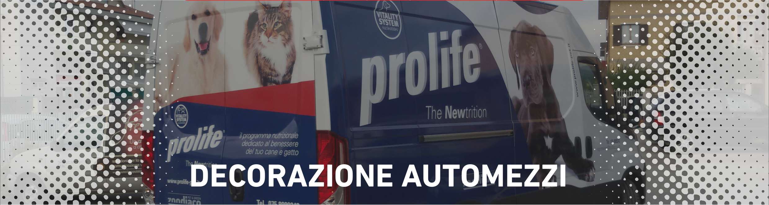 decorazioneautomezzi